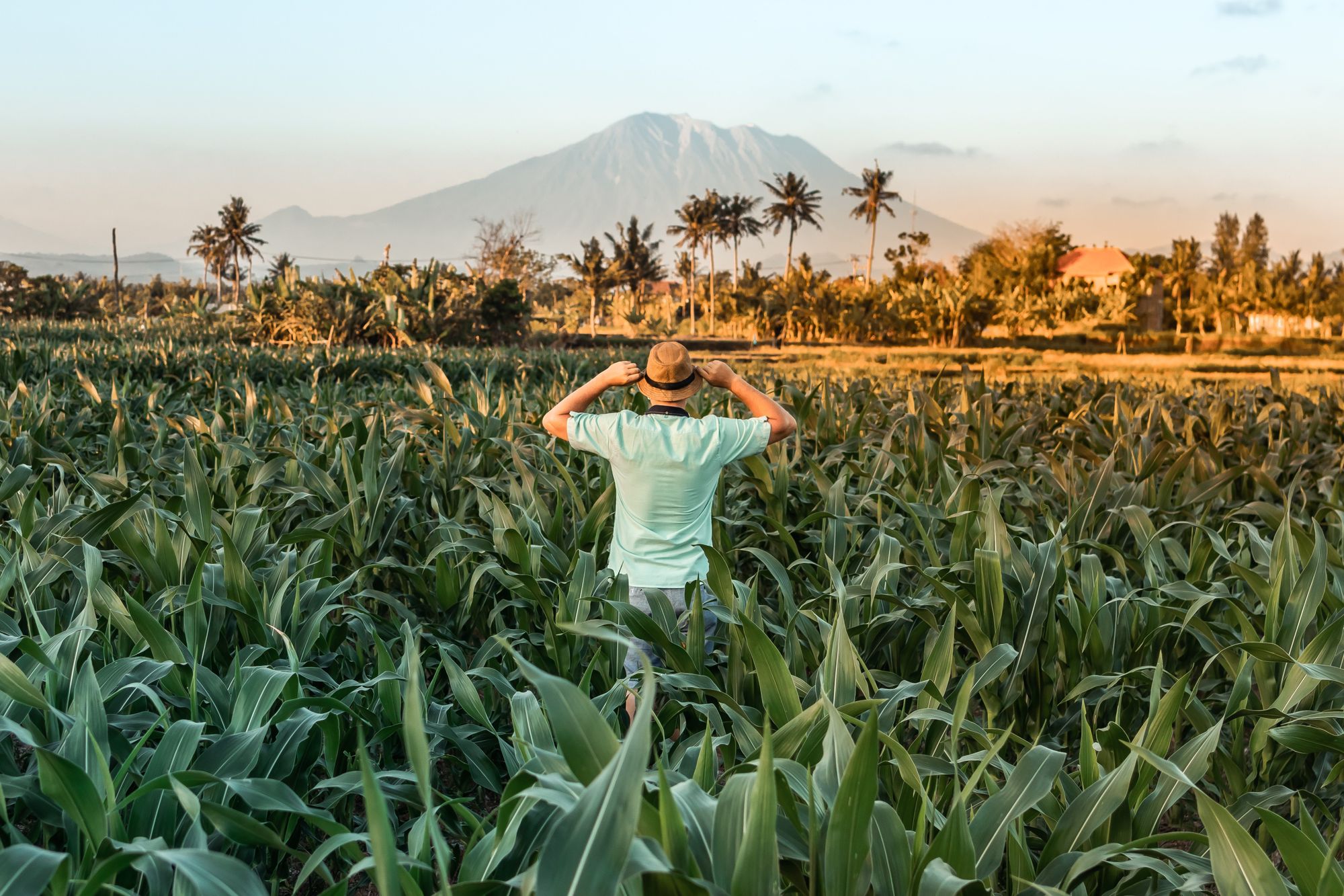 Full Digital Nomad Guide to Bali, Indonesia - Digital Nomad World