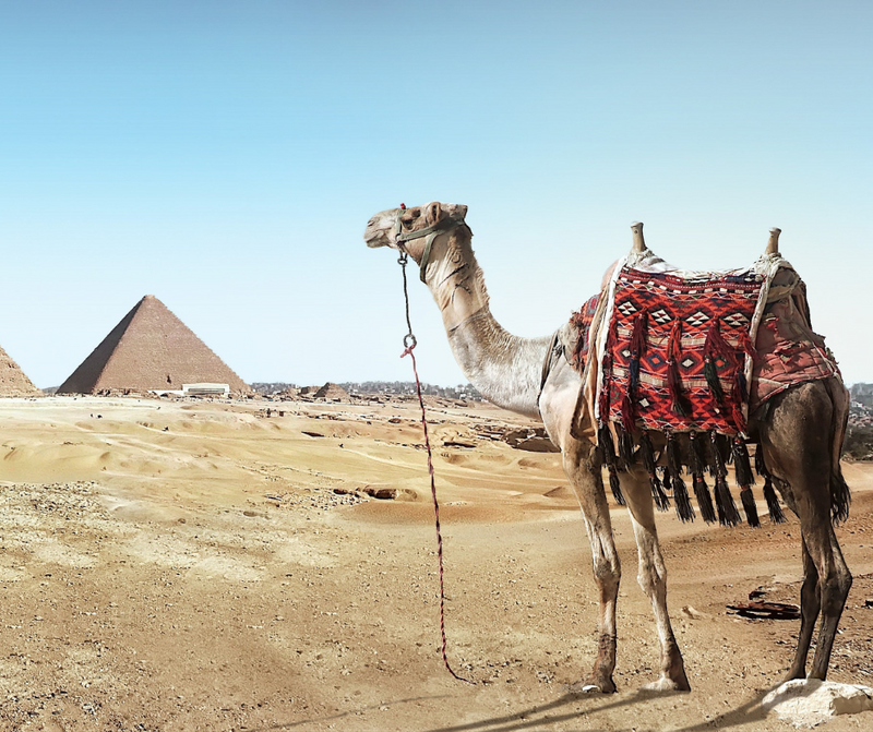 Egypt for nomads